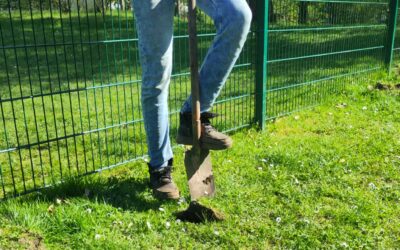 Garten Aktion im Kinder- und Jugendtreff Pirna-Copitz